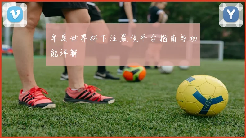 年度世界杯下注最佳平台指南与功能详解